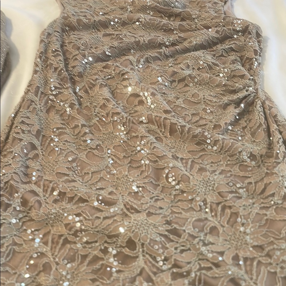 Elegant Lace Sequin Dress